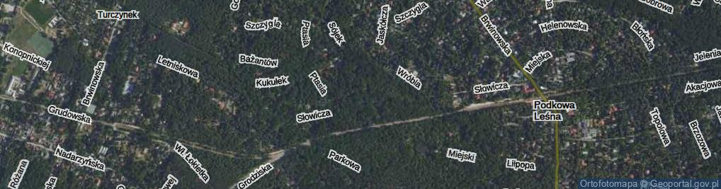 Zdjęcie satelitarne Krasek ul.